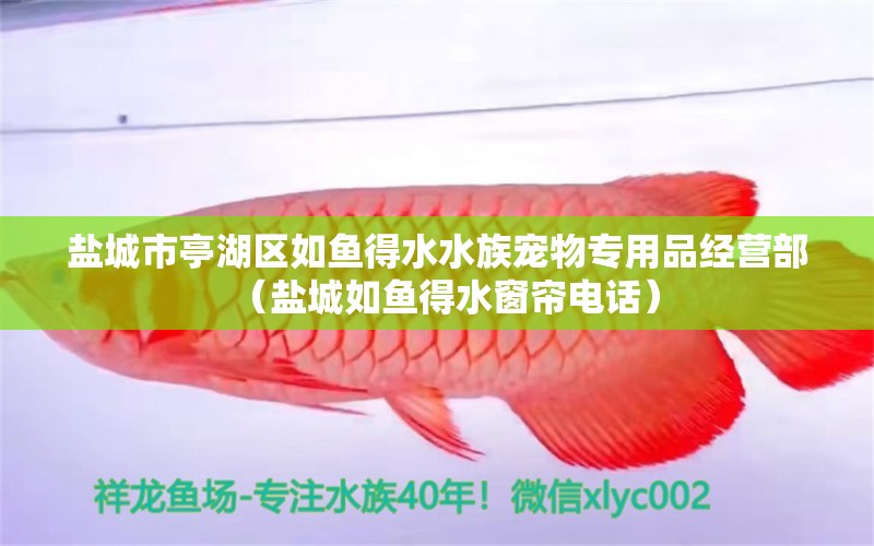 鹽城市亭湖區(qū)如魚得水水族寵物專用品經(jīng)營部（鹽城如魚得水窗簾電話）