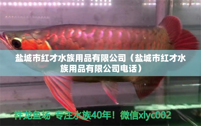 鹽城市紅才水族用品有限公司（鹽城市紅才水族用品有限公司電話） 水族用品