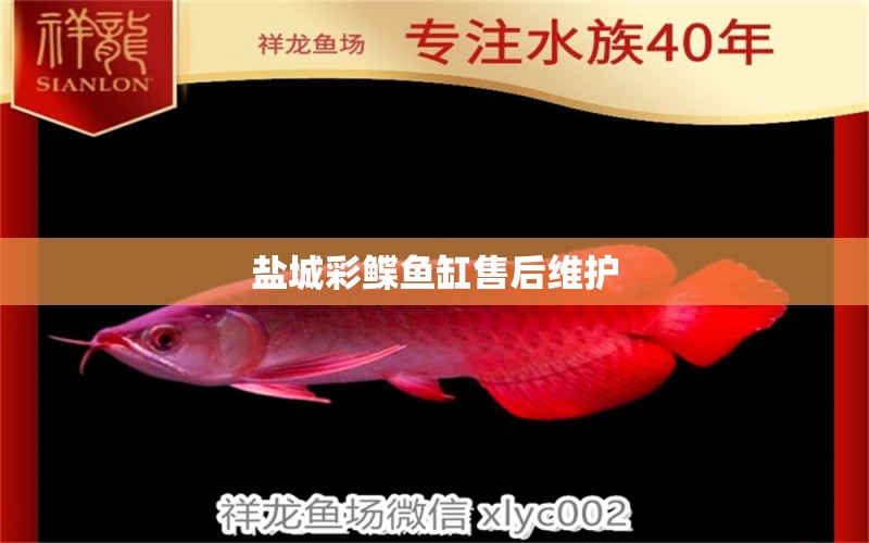 鹽城彩鰈魚缸售后維護