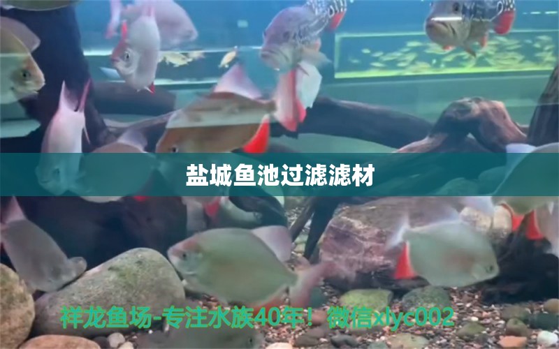 鹽城魚池過濾濾材