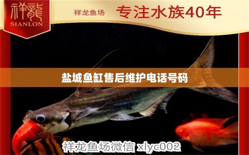 鹽城魚缸售后維護(hù)電話號碼 其他品牌魚缸