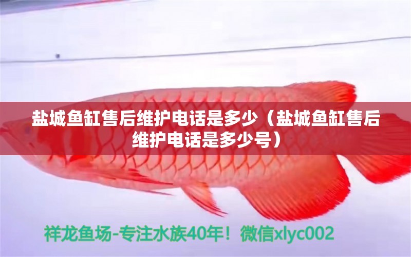 鹽城魚缸售后維護(hù)電話是多少（鹽城魚缸售后維護(hù)電話是多少號(hào)） 其他品牌魚缸