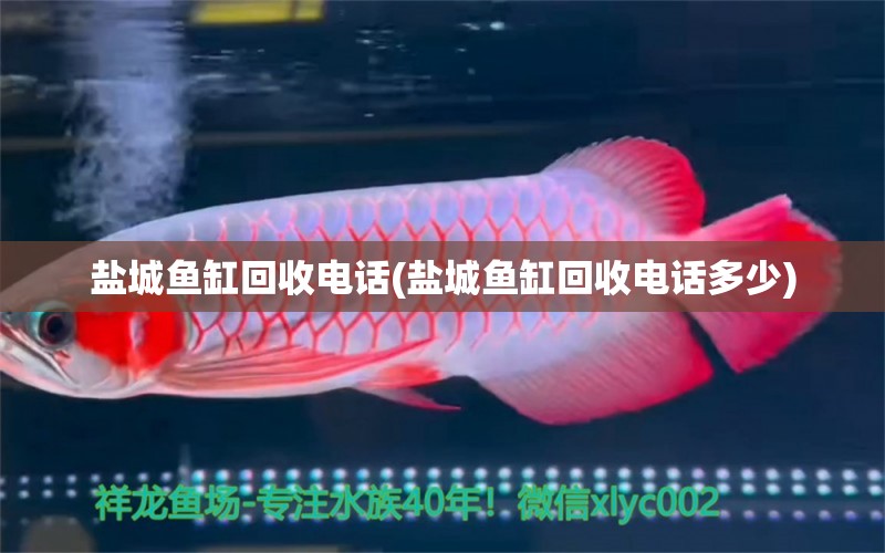 鹽城魚缸回收電話(鹽城魚缸回收電話多少) 孵化器