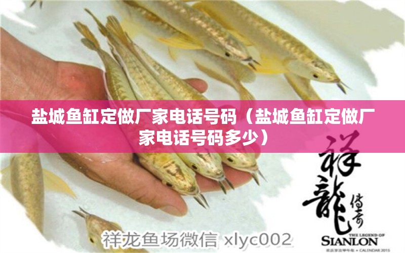 鹽城魚缸定做廠家電話號碼（鹽城魚缸定做廠家電話號碼多少） 祥龍水族醫(yī)院