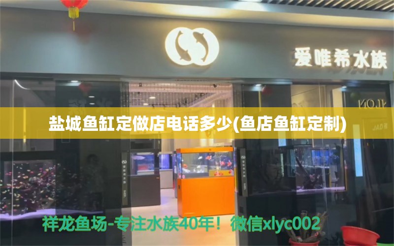 鹽城魚缸定做店電話多少(魚店魚缸定制) 養(yǎng)魚知識(shí)