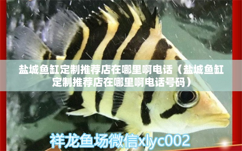 鹽城魚缸定制推薦店在哪里啊電話（鹽城魚缸定制推薦店在哪里啊電話號(hào)碼） 其他品牌魚缸