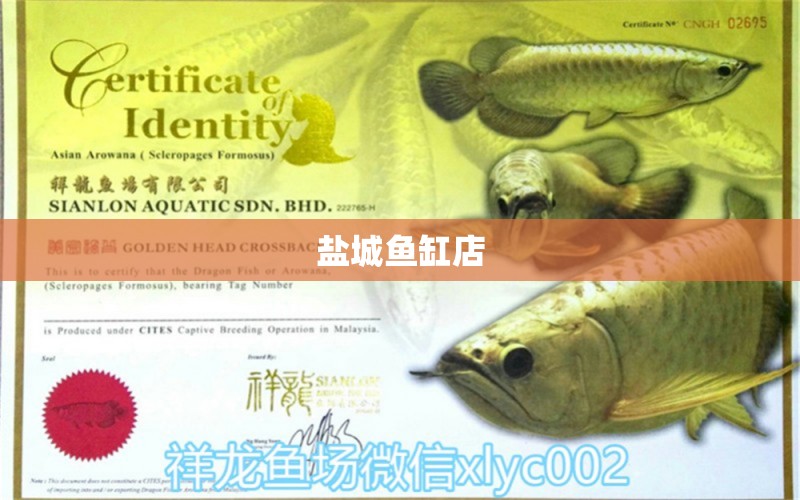 鹽城魚缸店 其他品牌魚缸