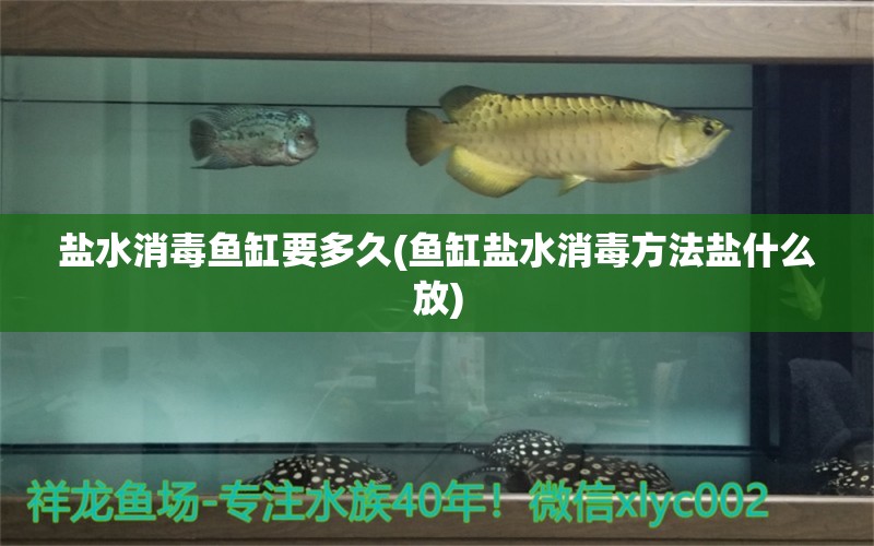 鹽水消毒魚缸要多久(魚缸鹽水消毒方法鹽什么放) 印尼紅龍魚