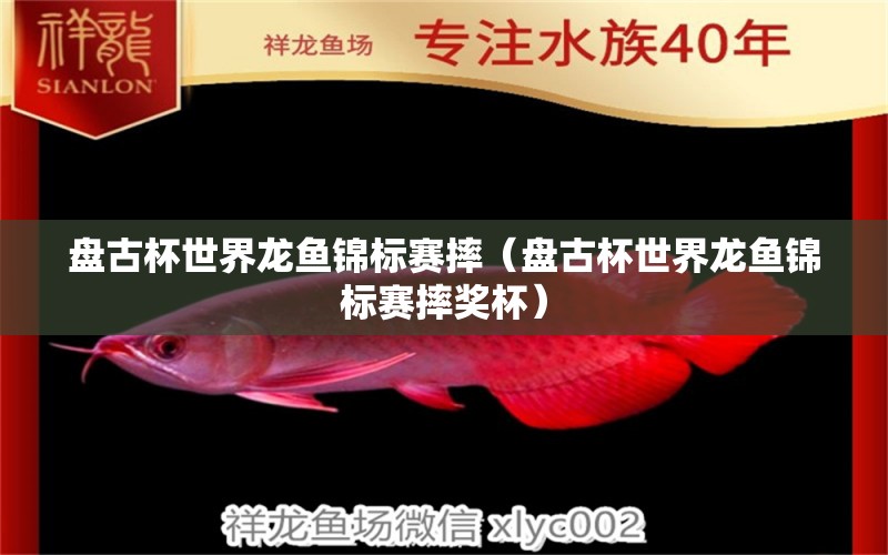 盤古杯世界龍魚(yú)錦標(biāo)賽摔（盤古杯世界龍魚(yú)錦標(biāo)賽摔獎(jiǎng)杯）