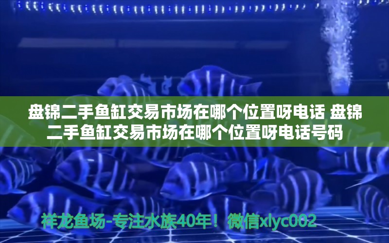 盤錦二手魚缸交易市場在哪個位置呀電話 盤錦二手魚缸交易市場在哪個位置呀電話號碼