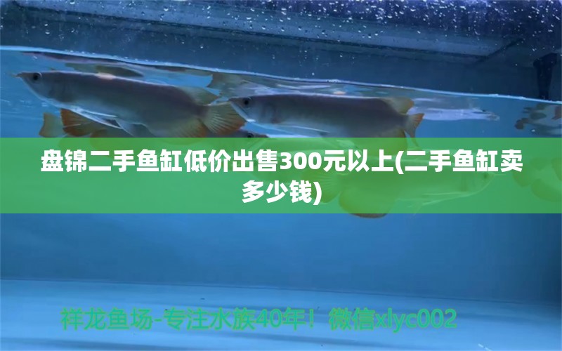 盤(pán)錦二手魚(yú)缸低價(jià)出售300元以上(二手魚(yú)缸賣(mài)多少錢(qián)) 海象魚(yú)