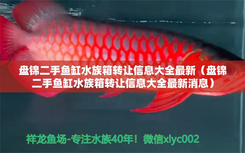 盤錦二手魚缸水族箱轉(zhuǎn)讓信息大全最新（盤錦二手魚缸水族箱轉(zhuǎn)讓信息大全最新消息）