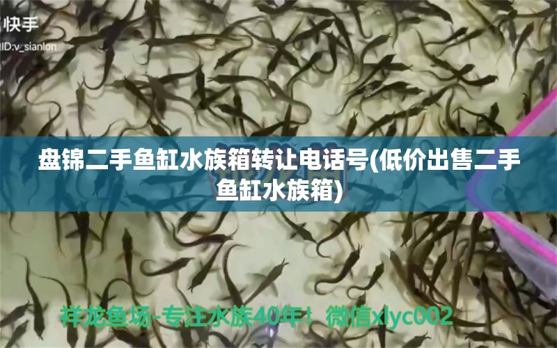 盤錦二手魚缸水族箱轉讓電話號(低價出售二手魚缸水族箱) 魚缸/水族箱