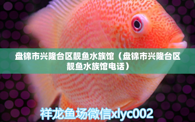 盤錦市興隆臺區(qū)靚魚水族館（盤錦市興隆臺區(qū)靚魚水族館電話）