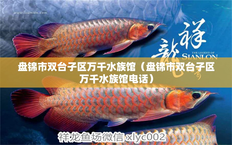 盤錦市雙臺(tái)子區(qū)萬(wàn)千水族館（盤錦市雙臺(tái)子區(qū)萬(wàn)千水族館電話）