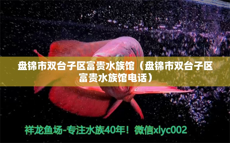 盤錦市雙臺(tái)子區(qū)富貴水族館（盤錦市雙臺(tái)子區(qū)富貴水族館電話） 全國水族館企業(yè)名錄