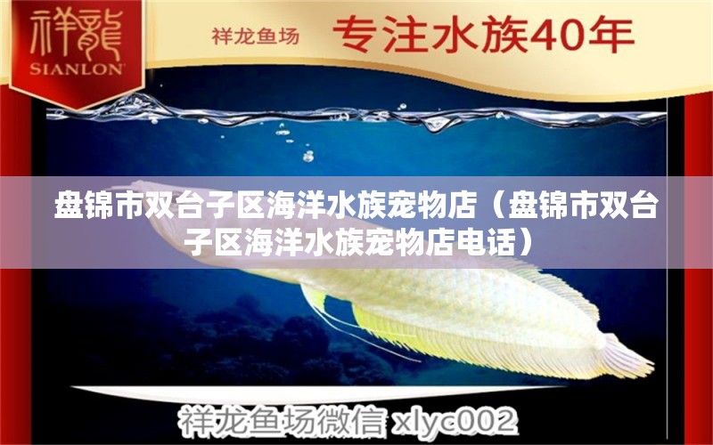 盤錦市雙臺子區(qū)海洋水族寵物店（盤錦市雙臺子區(qū)海洋水族寵物店電話）