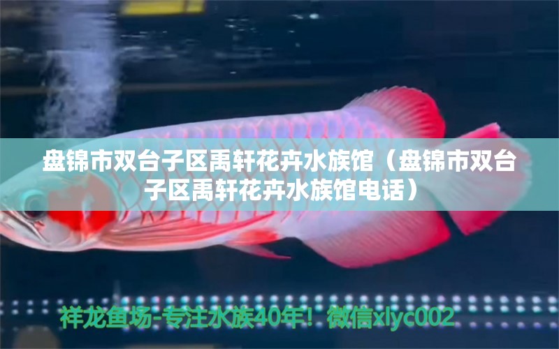 盤錦市雙臺(tái)子區(qū)禹軒花卉水族館（盤錦市雙臺(tái)子區(qū)禹軒花卉水族館電話）