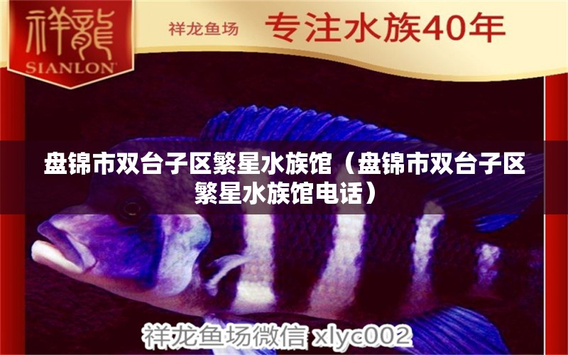 盤錦市雙臺子區(qū)繁星水族館（盤錦市雙臺子區(qū)繁星水族館電話） 全國水族館企業(yè)名錄