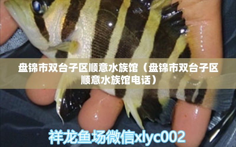 盤錦市雙臺(tái)子區(qū)順意水族館（盤錦市雙臺(tái)子區(qū)順意水族館電話）