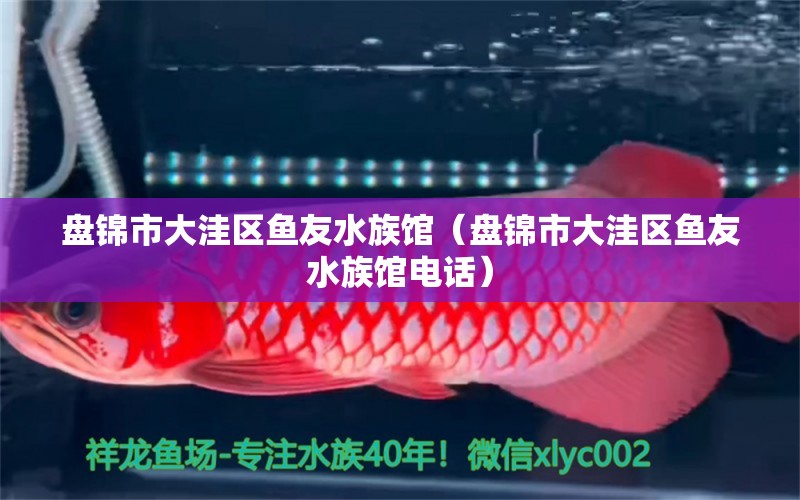 盤錦市大洼區(qū)魚友水族館（盤錦市大洼區(qū)魚友水族館電話）