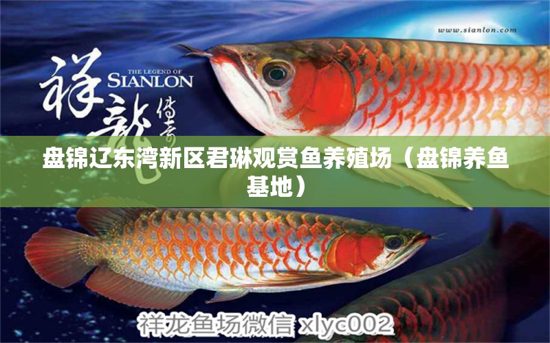 盤錦遼東灣新區(qū)君琳觀賞魚養(yǎng)殖場（盤錦養(yǎng)魚基地）