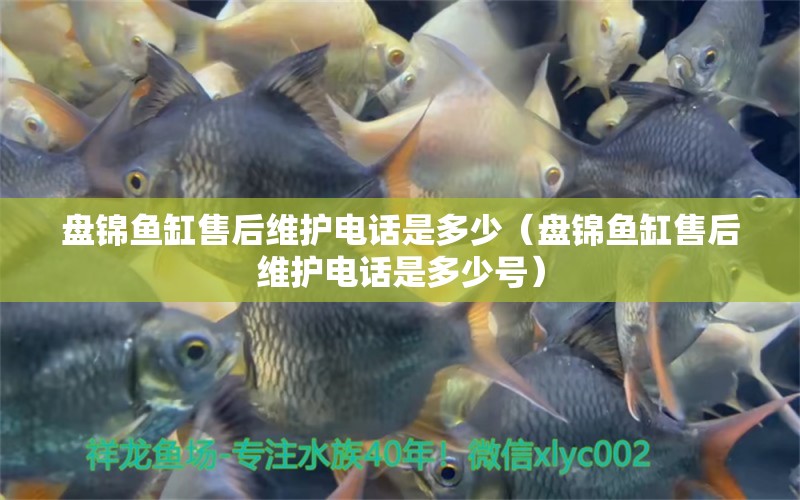 盤錦魚缸售后維護(hù)電話是多少（盤錦魚缸售后維護(hù)電話是多少號） 其他品牌魚缸