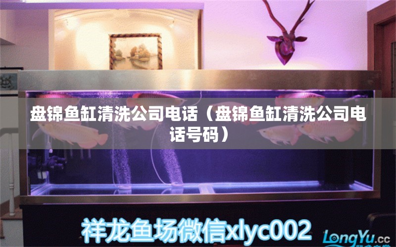 盤錦魚缸清洗公司電話（盤錦魚缸清洗公司電話號碼） 觀賞魚市場（混養(yǎng)魚）