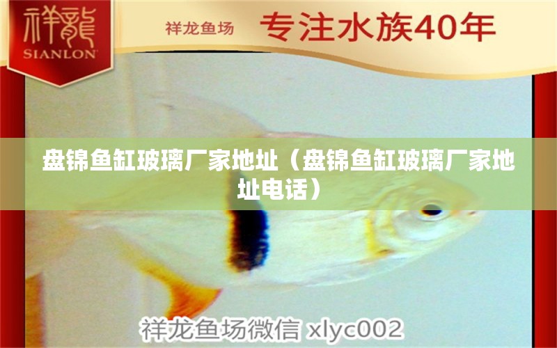 盤錦魚缸玻璃廠家地址（盤錦魚缸玻璃廠家地址電話）