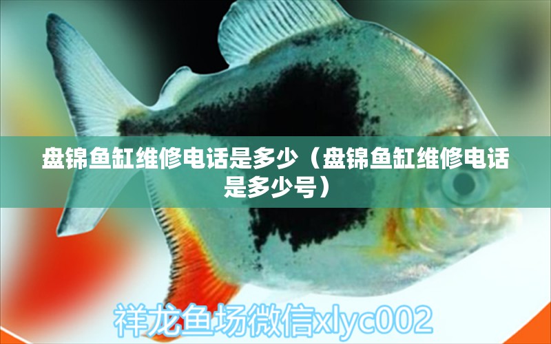 盤錦魚(yú)缸維修電話是多少（盤錦魚(yú)缸維修電話是多少號(hào)）