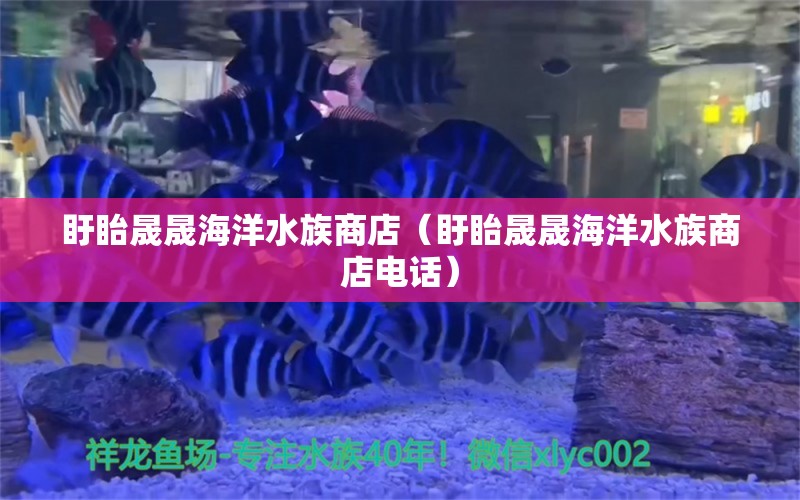 盱眙晟晟海洋水族商店（盱眙晟晟海洋水族商店電話）