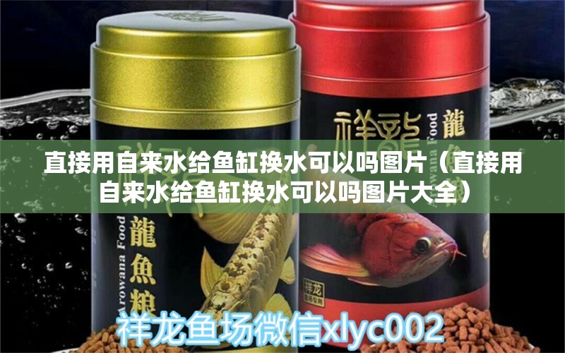 直接用自來水給魚缸換水可以嗎圖片（直接用自來水給魚缸換水可以嗎圖片大全）