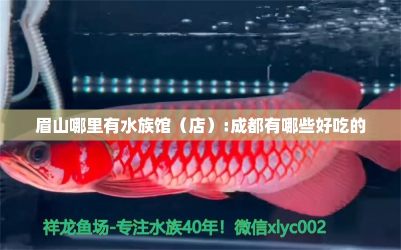 眉山哪里有水族館（店）:成都有哪些好吃的 觀賞魚水族批發(fā)市場