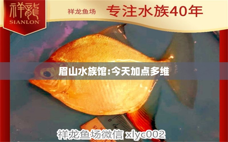 眉山水族館:今天加點(diǎn)多維 觀賞魚飼料