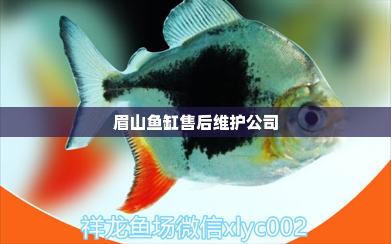 眉山魚缸售后維護(hù)公司 其他品牌魚缸