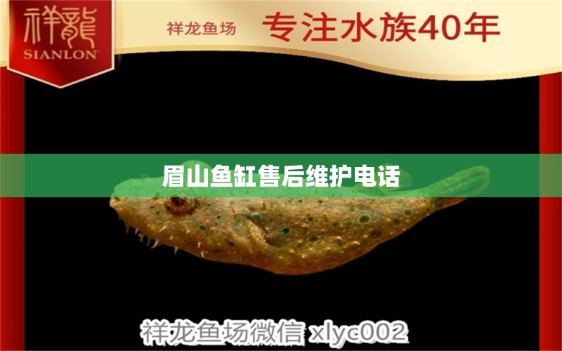 眉山魚缸售后維護電話 其他品牌魚缸