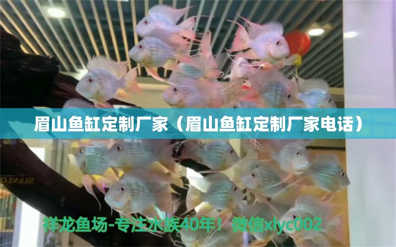 眉山魚(yú)缸定制廠家（眉山魚(yú)缸定制廠家電話）