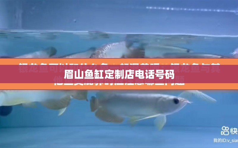 眉山魚缸定制店電話號(hào)碼 水族問(wèn)答 第1張