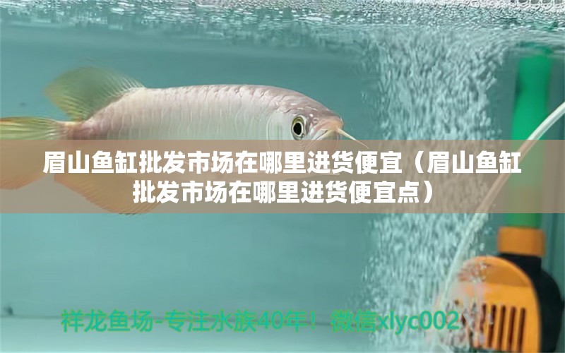 眉山魚缸批發(fā)市場(chǎng)在哪里進(jìn)貨便宜（眉山魚缸批發(fā)市場(chǎng)在哪里進(jìn)貨便宜點(diǎn)） 斑馬狗頭魚