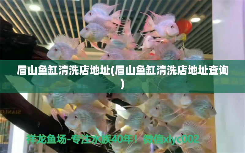 眉山魚缸清洗店地址(眉山魚缸清洗店地址查詢) 祥龍傳奇品牌魚缸