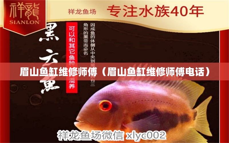 眉山魚缸維修師傅（眉山魚缸維修師傅電話）