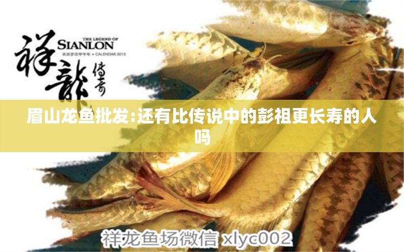 眉山龍魚批發(fā):還有比傳說中的彭祖更長壽的人嗎