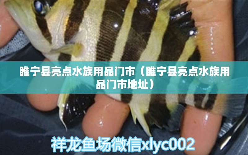 睢寧縣亮點水族用品門市（睢寧縣亮點水族用品門市地址） 水族用品