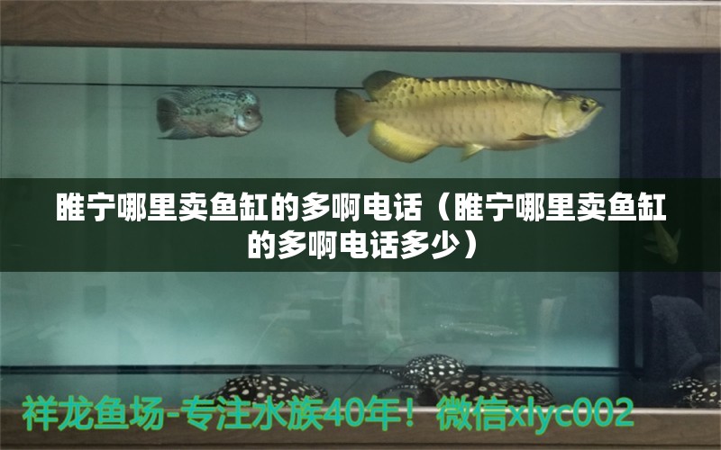 睢寧哪里賣魚缸的多啊電話（睢寧哪里賣魚缸的多啊電話多少）