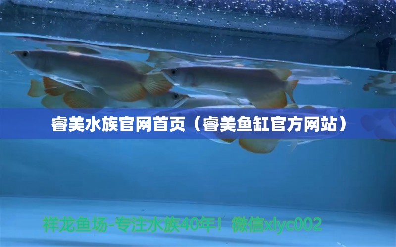 睿美水族官網(wǎng)首頁（睿美魚缸官方網(wǎng)站）