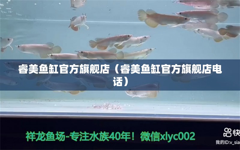 睿美魚缸官方旗艦店（睿美魚缸官方旗艦店電話） 蘇虎苗（蘇門答臘虎魚苗）