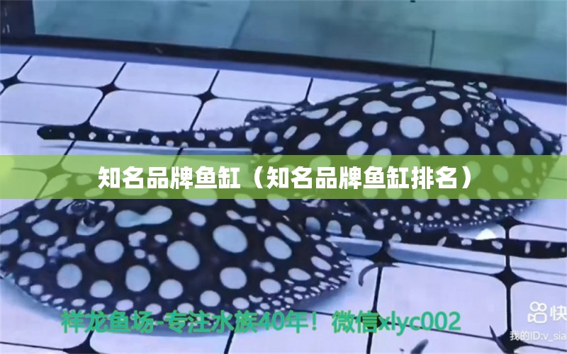 知名品牌魚缸（知名品牌魚缸排名）