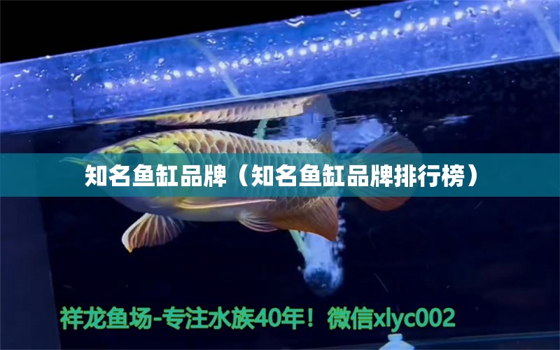 知名魚缸品牌（知名魚缸品牌排行榜）