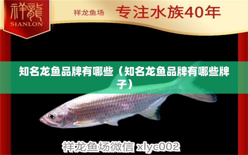 知名龍魚品牌有哪些（知名龍魚品牌有哪些牌子）