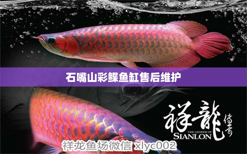 石嘴山彩鰈魚(yú)缸售后維護(hù) 彩鰈魚(yú)缸（彩蝶魚(yú)缸）